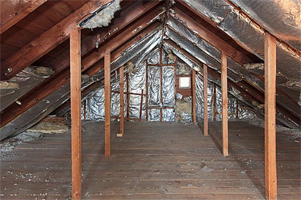 60 Robbins Road Arlington, MA 02476 - Photo 20 of 22 a view of entryway