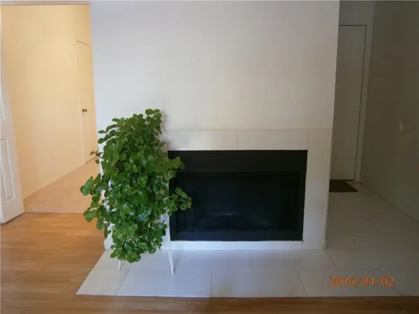 a living room with a fireplace and a potted plant
