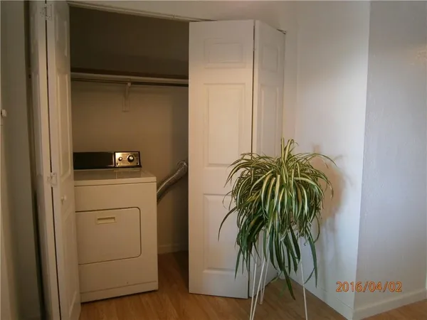 a utility room with window and a potted plant
