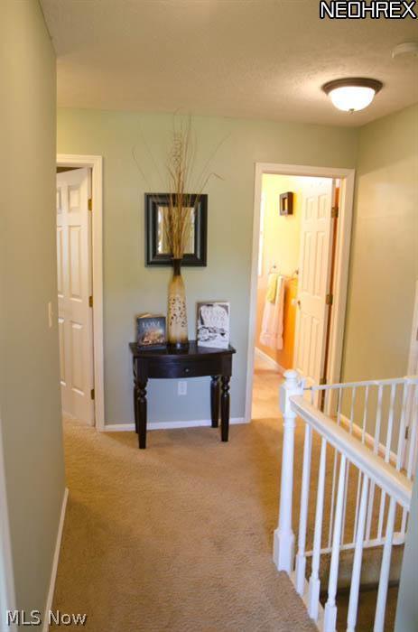 6344 Maplewood Road Mayfield Heights, OH 44124 - Photo 15 of 25