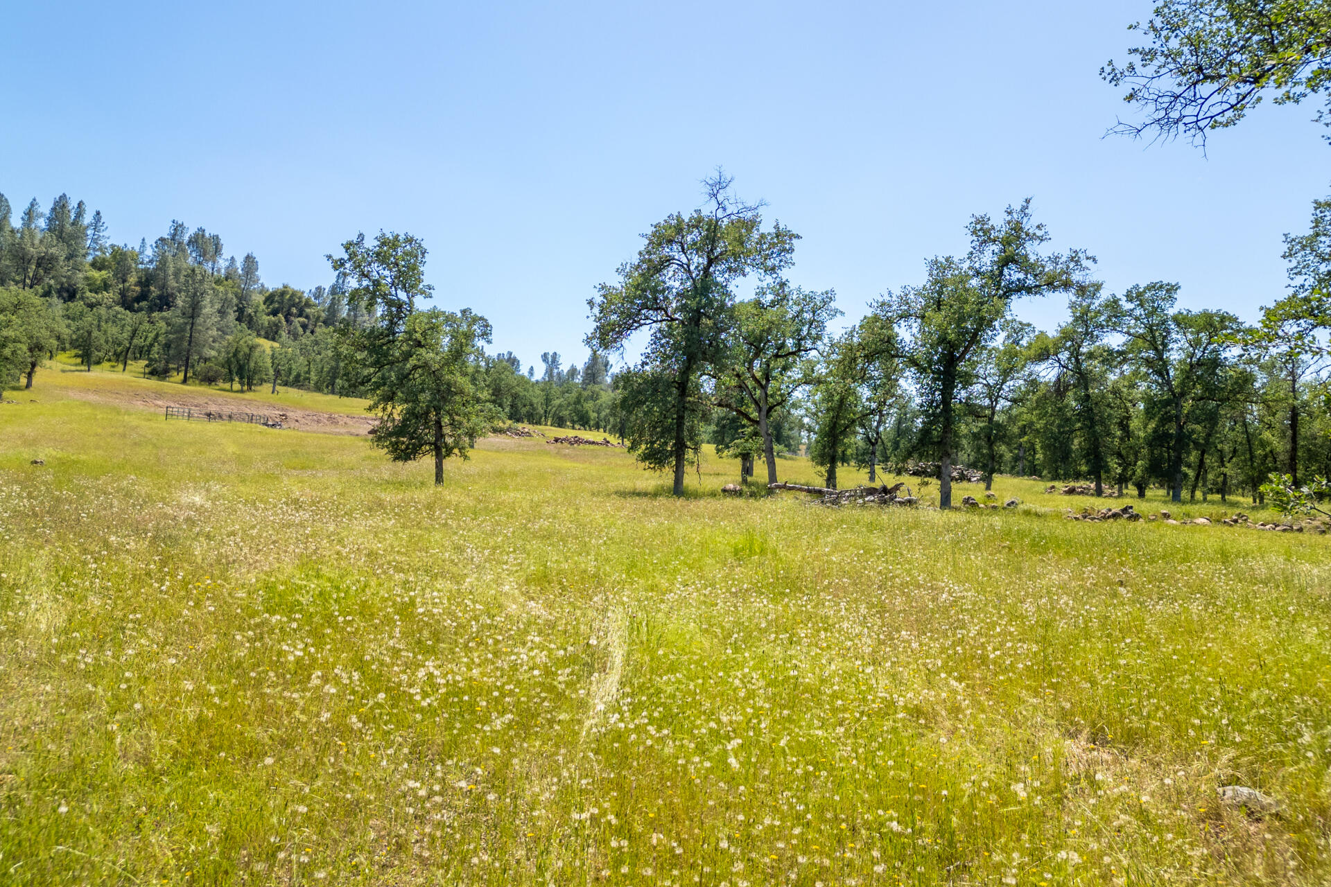 0 Racoon Way Oak Run, CA 96069 - Photo 33 of 39 Racoon026
