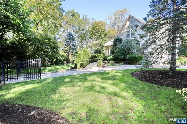 a view of a backyard with tree s