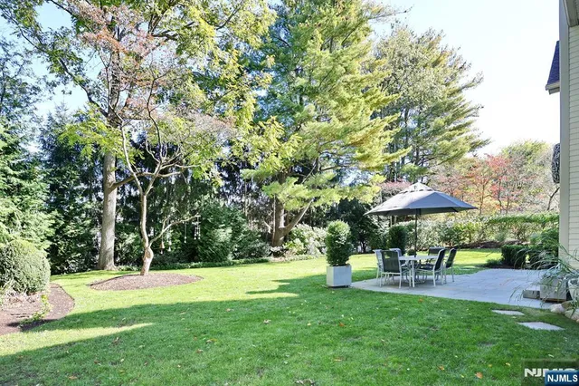 a view of a park with large trees