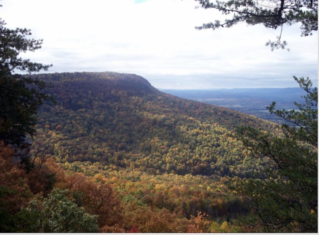 0 Big Fork Road Signal Mountain, TN 37377 - Photo 2 of 21 Gallery Image 2