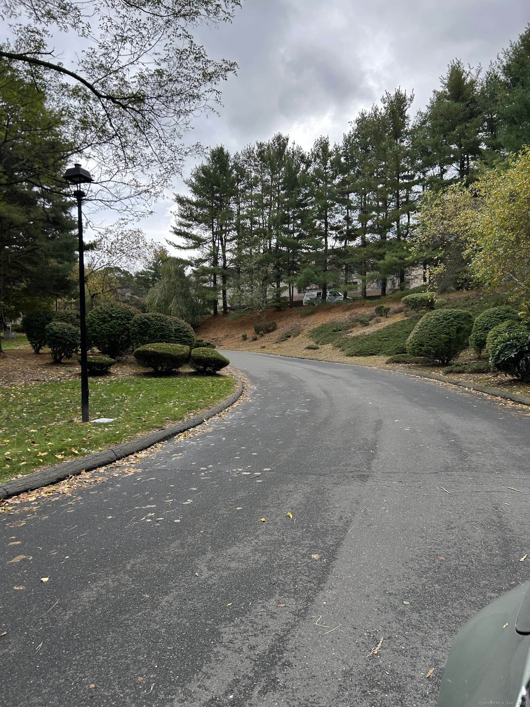 489 Wolcott Street, Unit 85 Bristol, CT 06010 - Photo 17 of 17 a view of a house with a big yard and palm trees