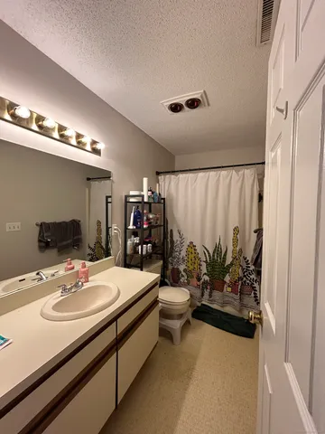 a bathroom with a sink a toilet and mirror