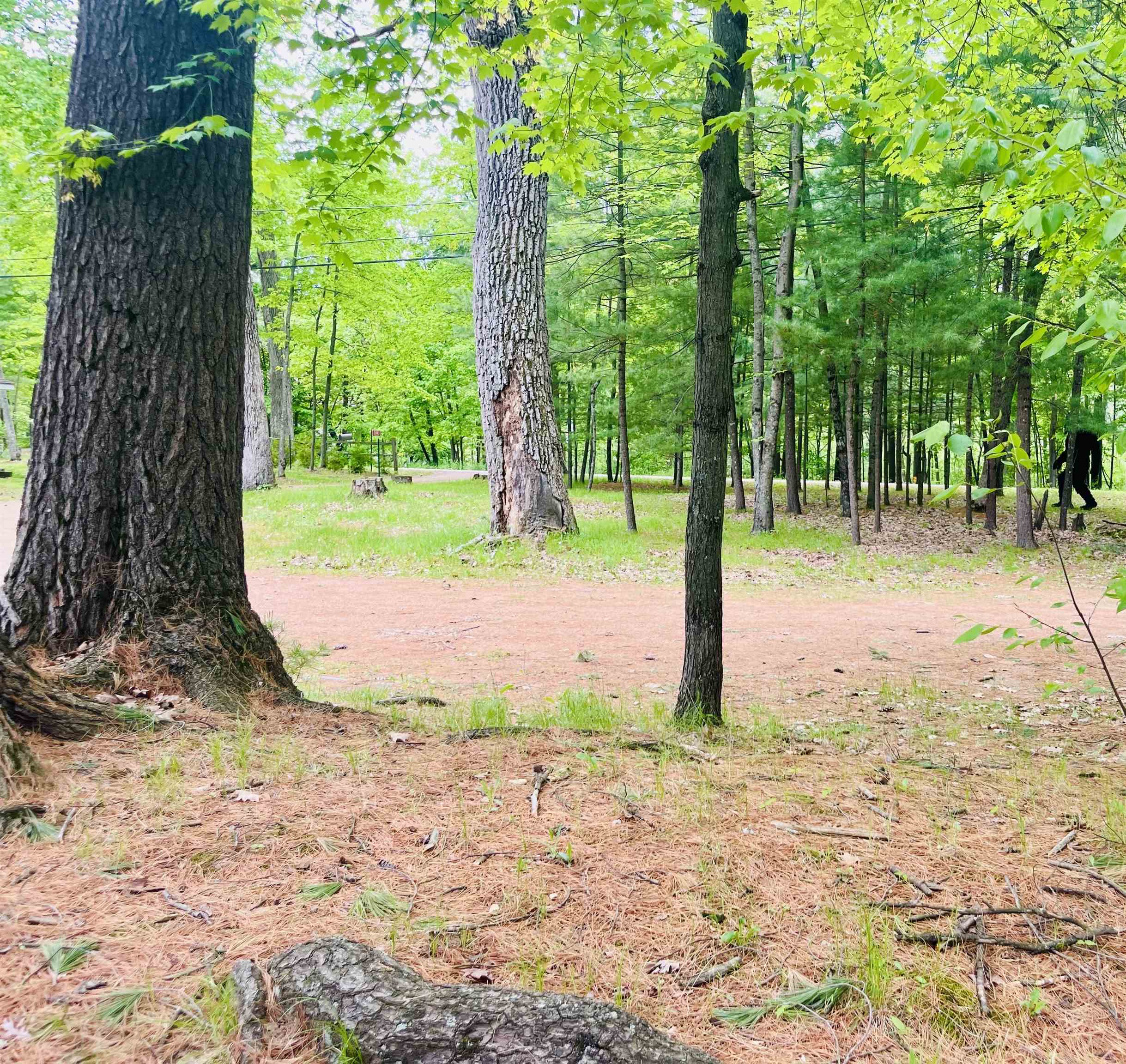 E1747 Pine Ridge Lane Waupaca, WI 54981 - Photo 5 of 25