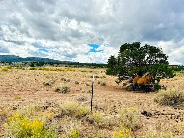 $625,000 | 16321 Elk Drive, Glade Park, CO 81523