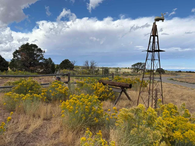 $625,000 | 16321 Elk Drive, Glade Park, CO 81523