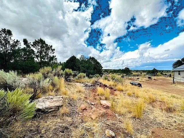 $625,000 | 16321 Elk Drive, Glade Park, CO 81523