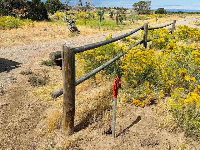 $625,000 | 16321 Elk Drive, Glade Park, CO 81523