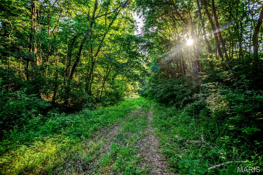 575 Schleeper Hollow Road Hardin, IL 62047 - Photo 29 of 61