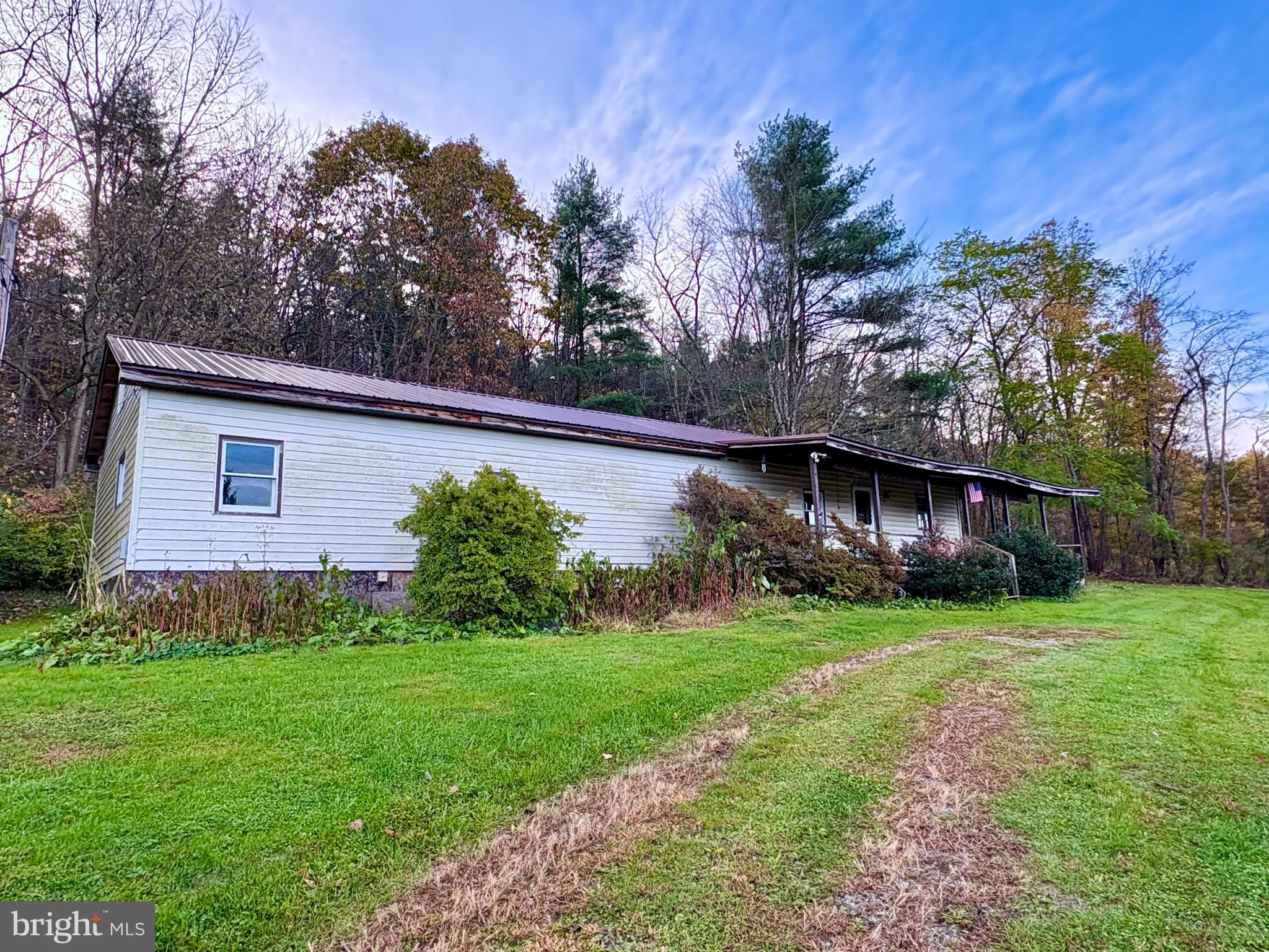 127 Evergreen Road Blanchard, PA 16826 - Photo 11 of 14 a view of a backyard with potted plants and large tree