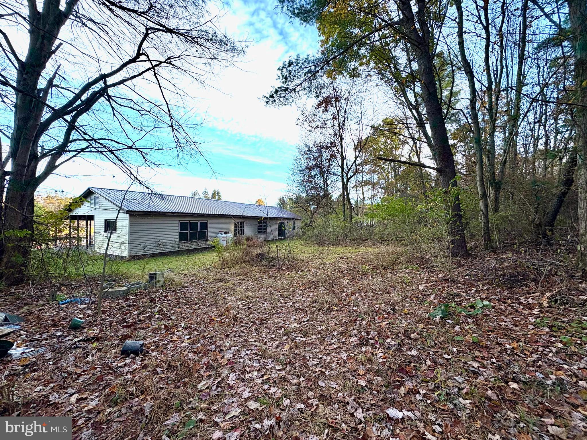 127 Evergreen Road Blanchard, PA 16826 - Photo 3 of 14 a backyard of a house with lots of green space