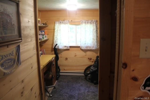553 Friedenstein Road Roscoe, NY 12776 - Photo 8 of 25