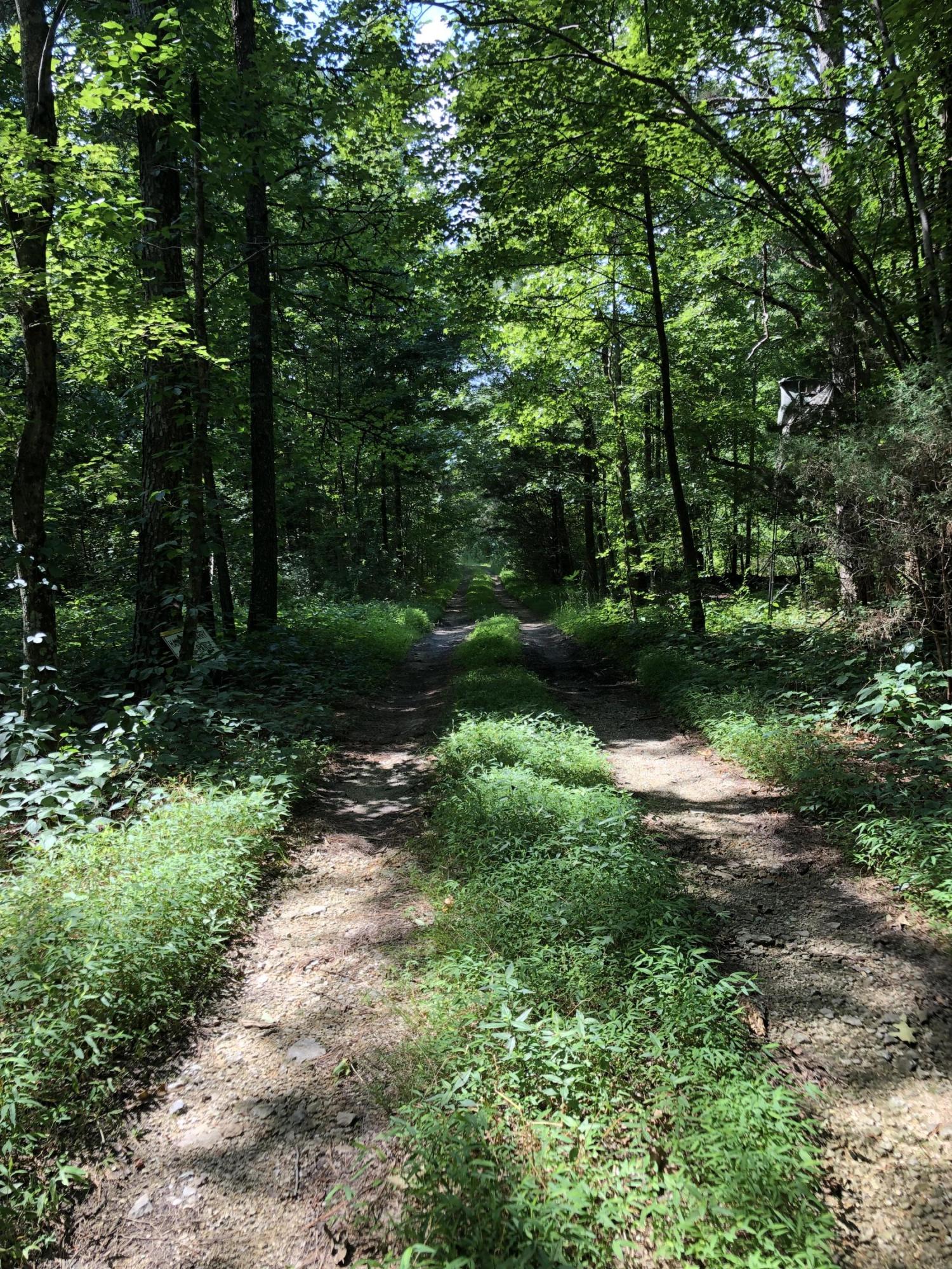 810 Red Clay Road Cleveland, TN 37311 - Photo 4 of 9 Private Lot