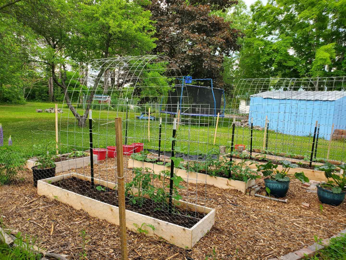412 Main Road South Hampden, ME 04444 - Photo 45 of 52 verticle vegi garden