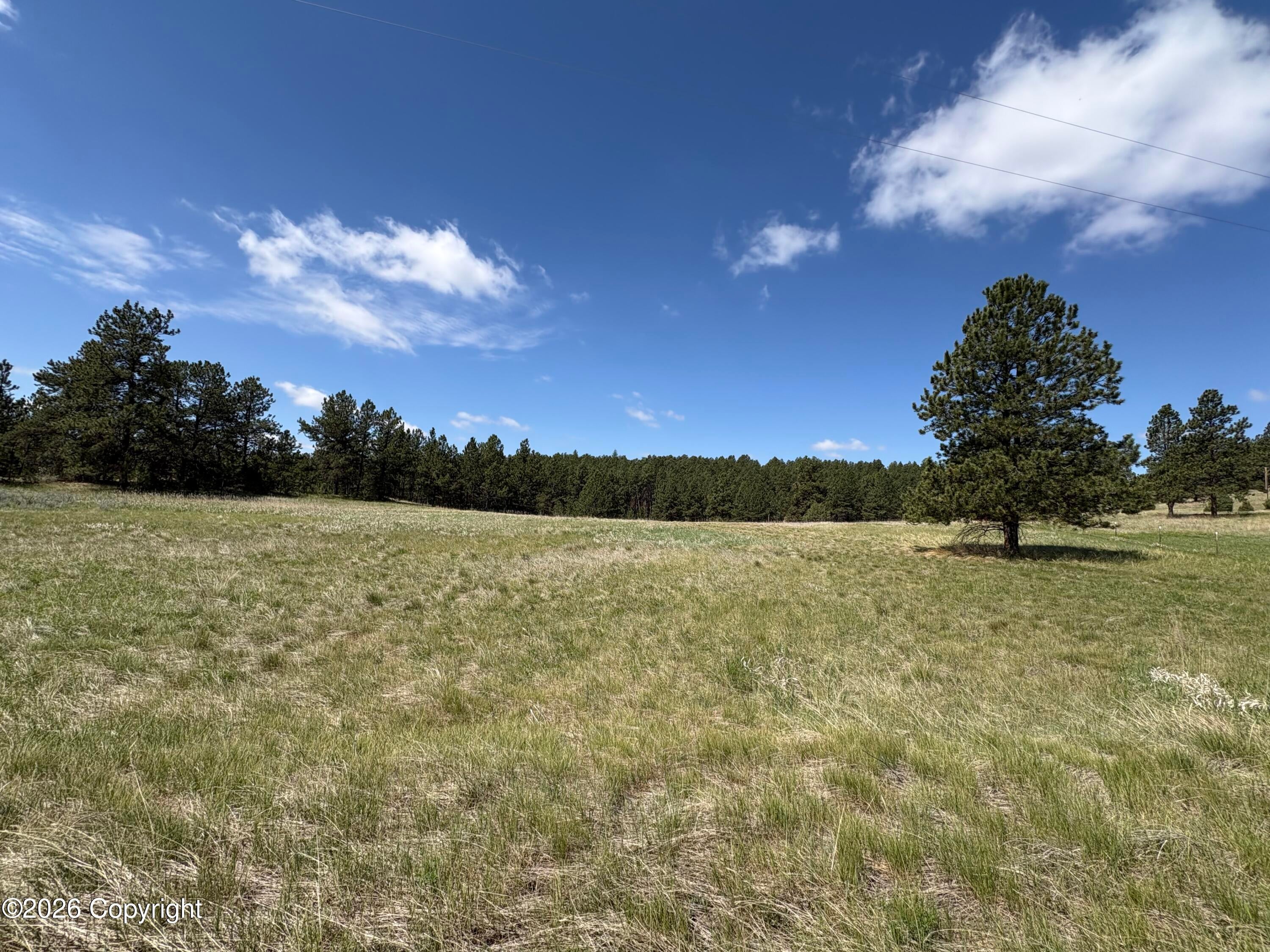 Tbd Homestead Road Newcastle, WY 82701 - Photo 5 of 15 IMG_3648