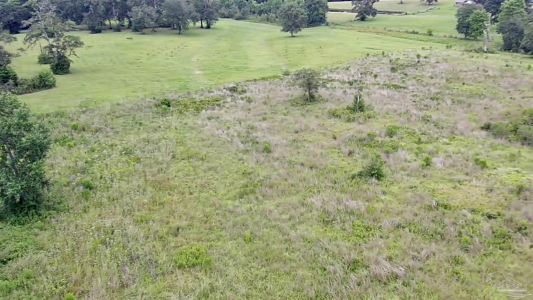 Lot 2 River Annex Road Cantonment, FL 32533 - Photo 3 of 10 Gallery Image 3