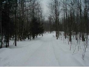 0 White Birch Road Morristown, VT 05656 - Photo 1 of 1