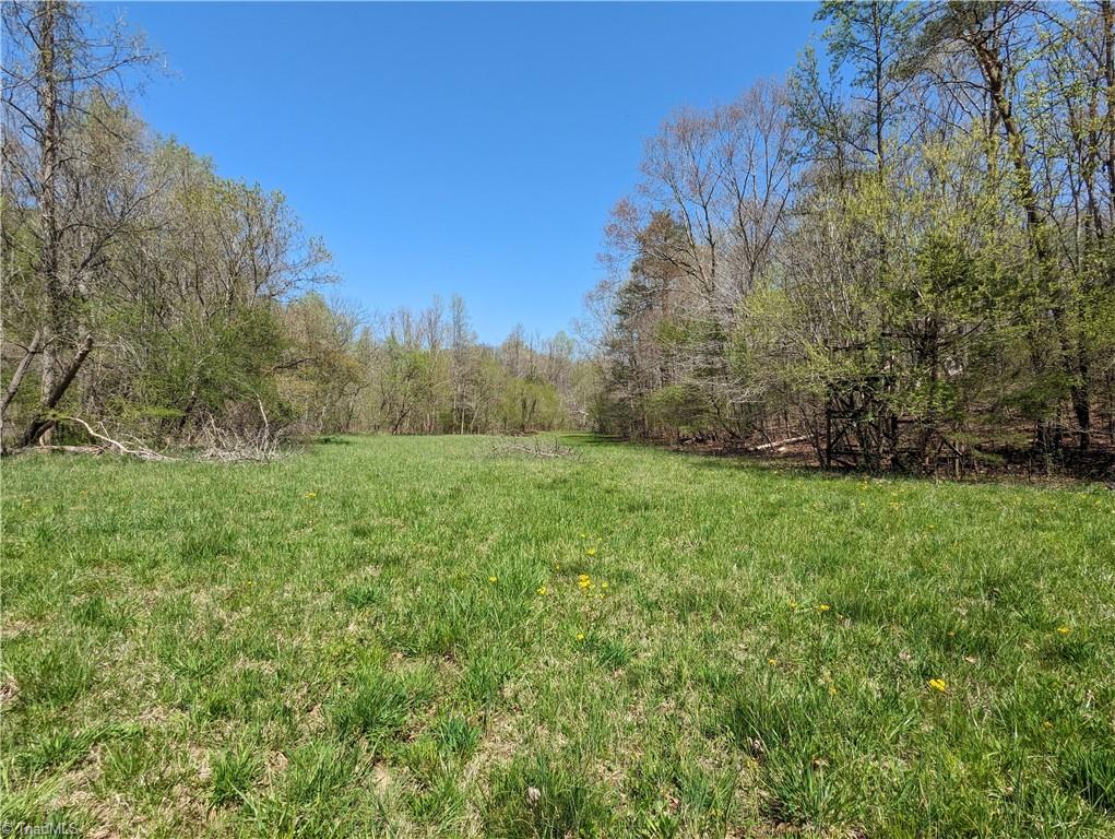 1280 Hauser Road Lewisville, NC 27023 - Photo 25 of 50 Gallery Image 25