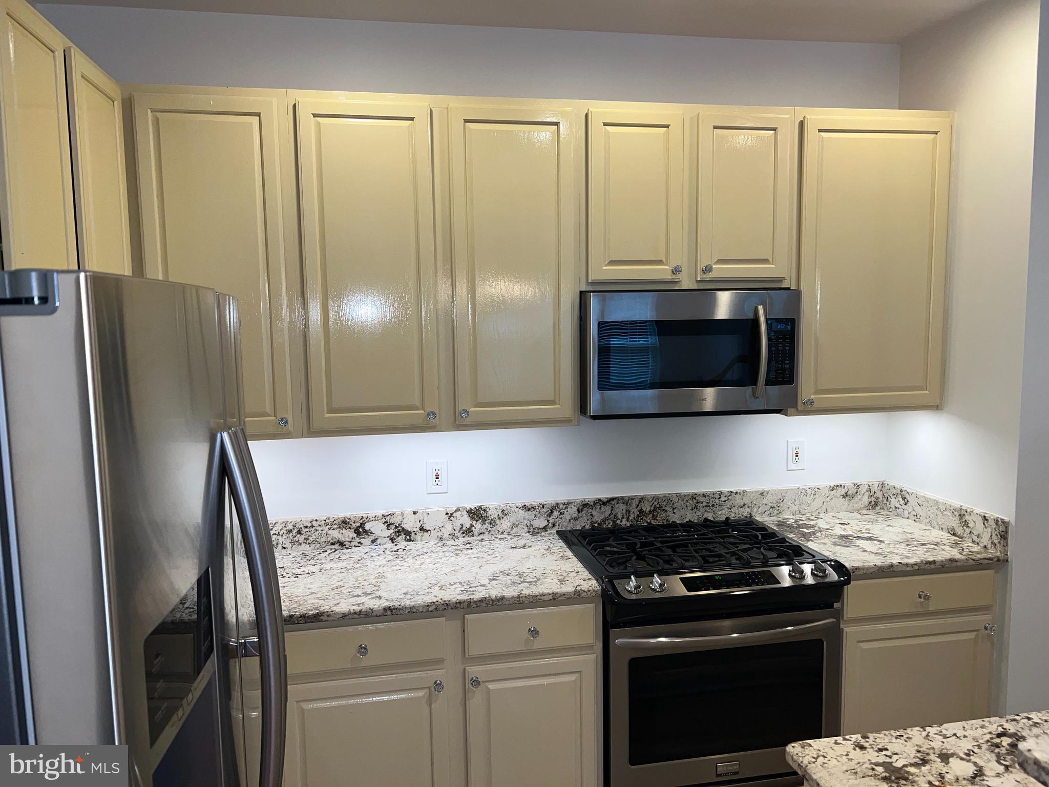 655 Main Street, Unit A Gaithersburg, MD 20878 - Photo 9 of 29 Gas Stove with under-mount lighting