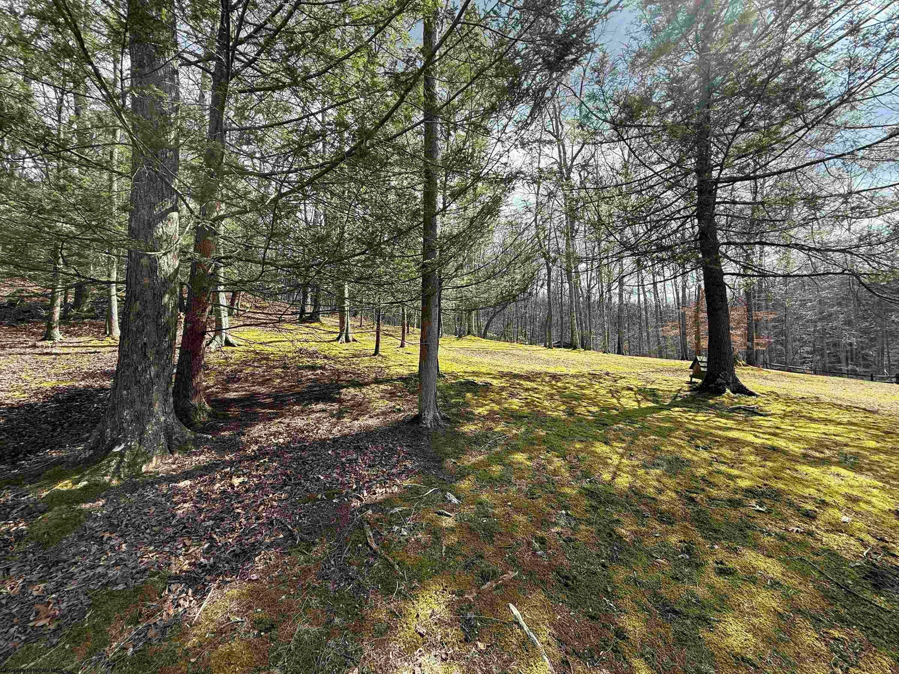 250 Timber Rdg Drive Elkins, WV 26241 - Photo 50 of 50 Gallery Image 50