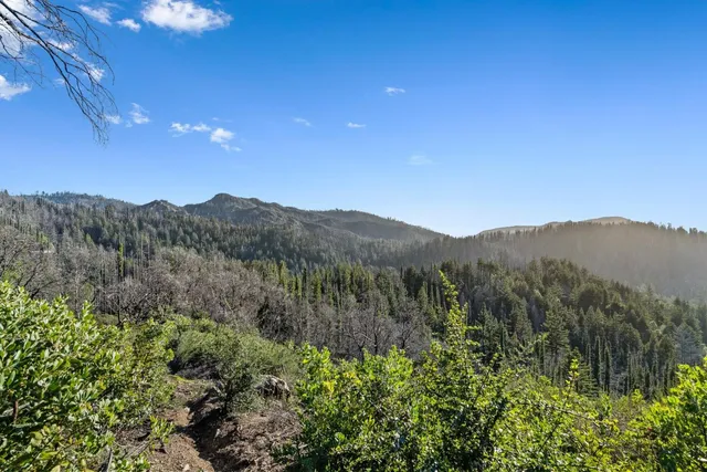 a view of a lush green forest with mountains in the background