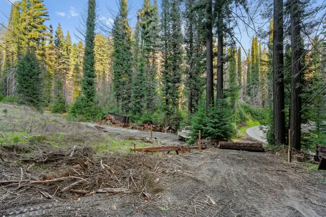 a view of outdoor space and yard
