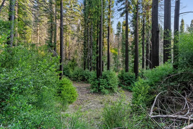 a view of outdoor space and garden