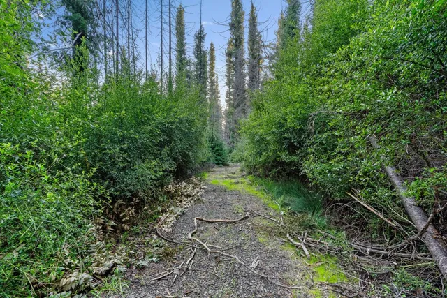 a backyard of a house with lots of green space