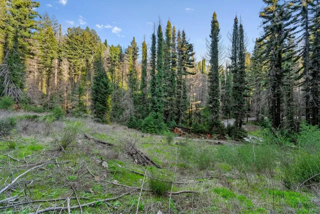 a view of a city with lots of trees