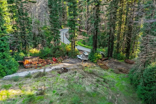 a view of a backyard