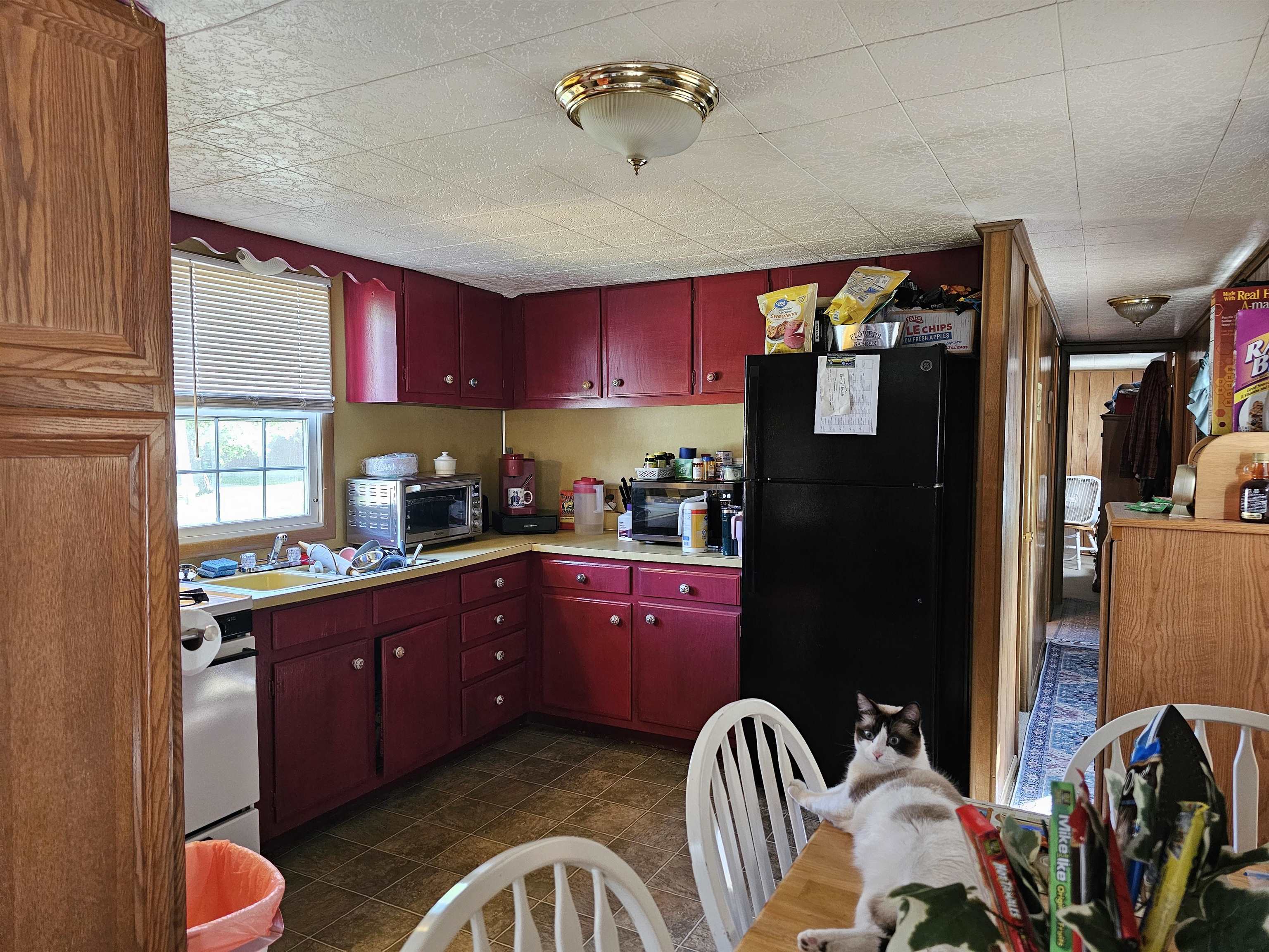 41 Hill Road Dummer, NH 03588 - Photo 2 of 16