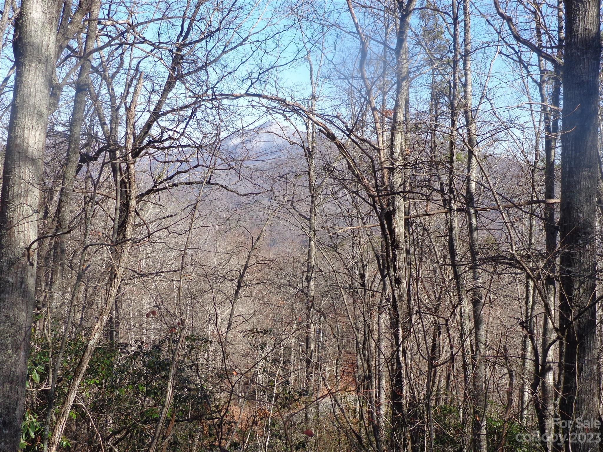 20 Vail Pass Road Whittier, NC 28789 - Photo 3 of 8