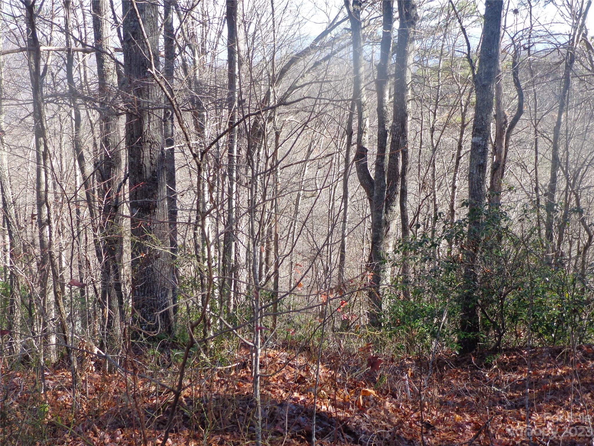 20 Vail Pass Road Whittier, NC 28789 - Photo 5 of 8