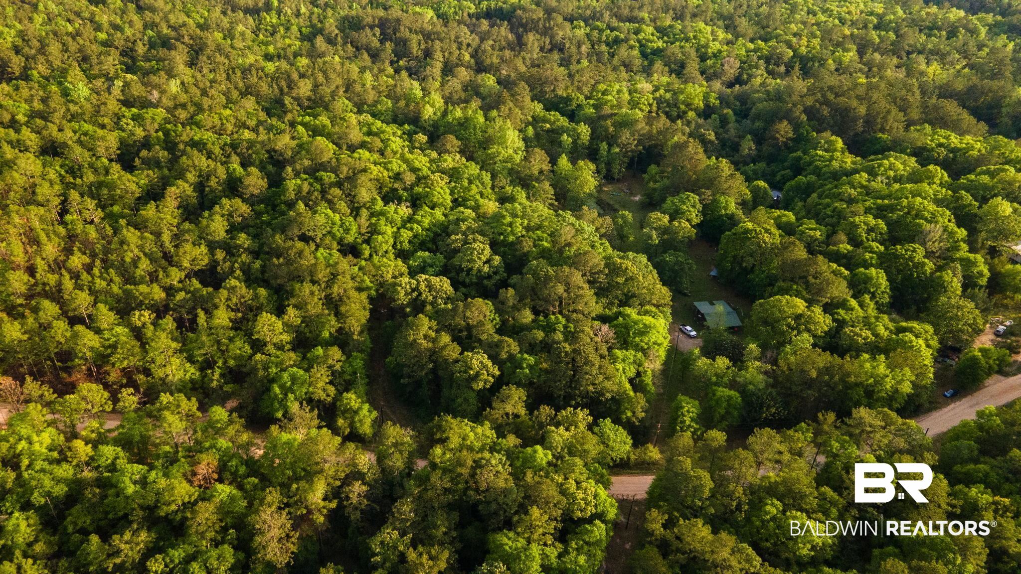 7321 Old Gulfcrest Road Citronelle, AL 36522 - Photo 5 of 8 Drone / aerial view with a forest view