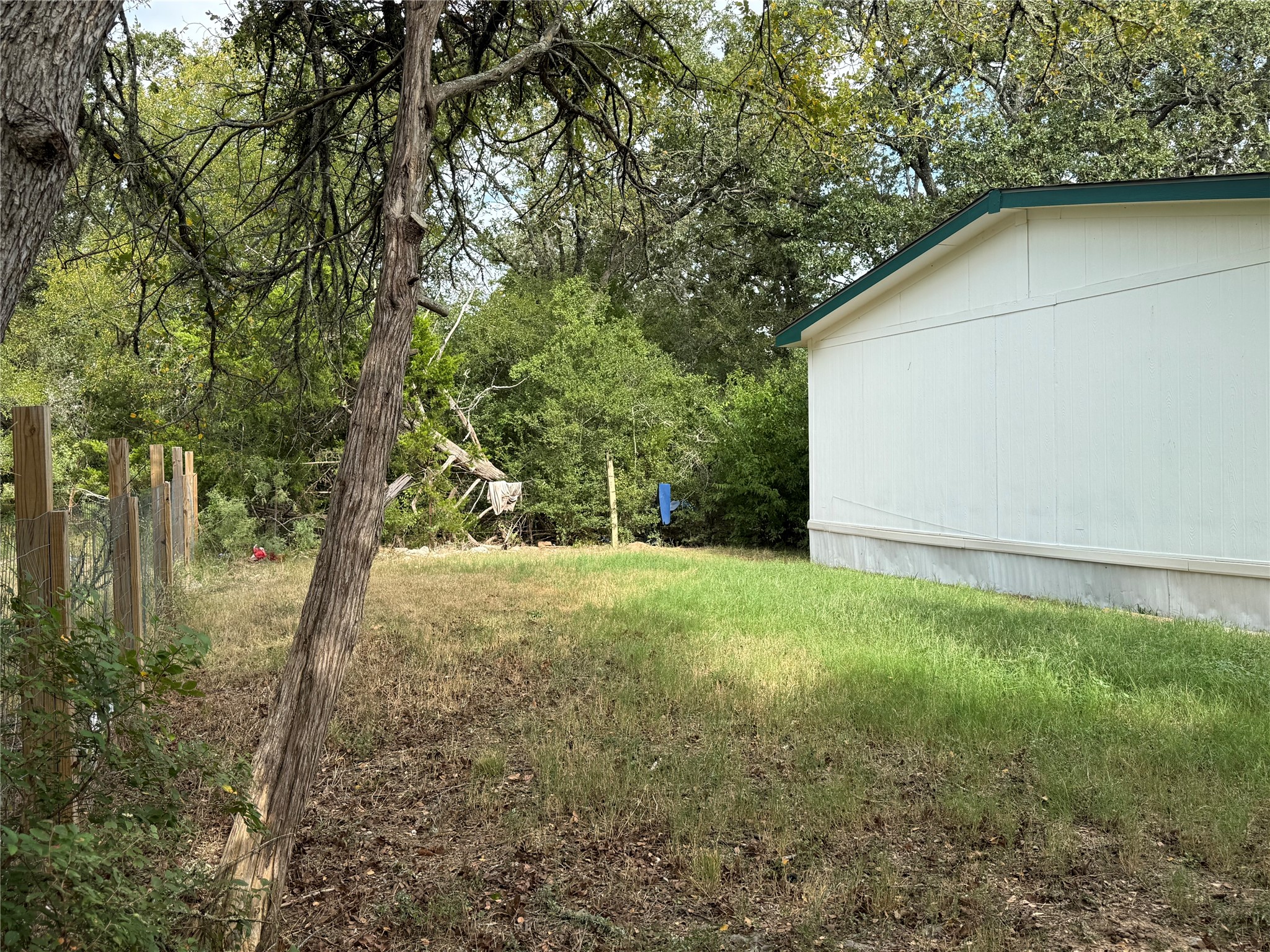 20701 Liveoak Lane Manor, TX 78653 - Photo 28 of 31 View of yard