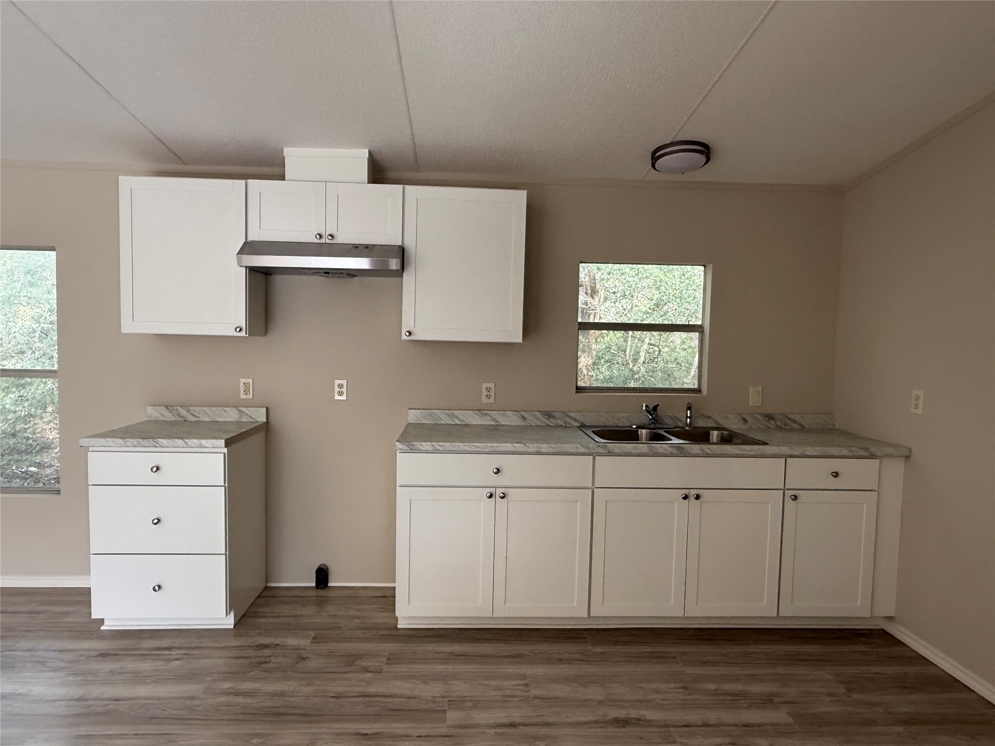 20701 Liveoak Lane Manor, TX 78653 - Photo 2 of 31 Kitchen with white cabinets, dark wood-style flooring, light countertops, and under cabinet range hood