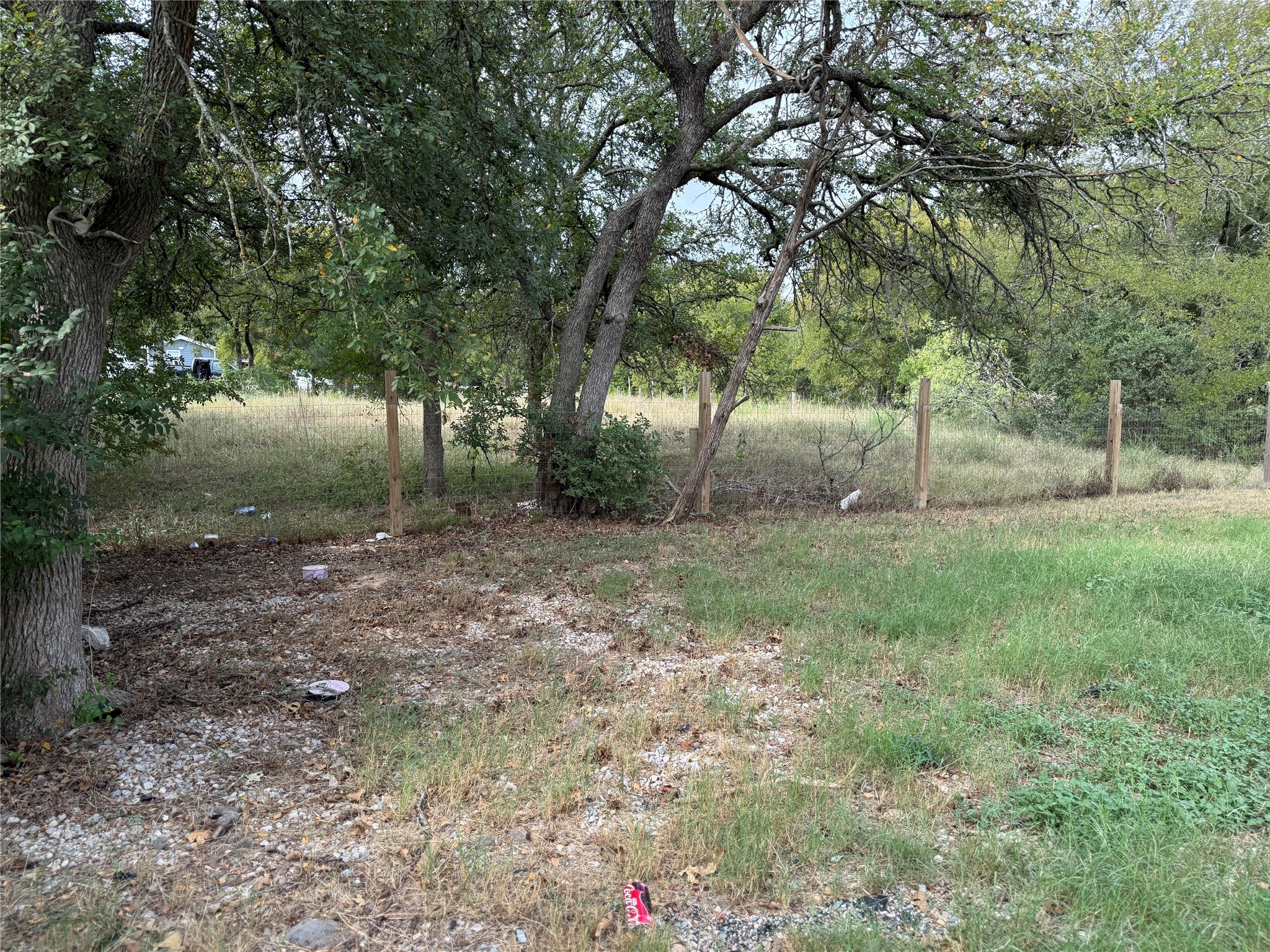 20701 Liveoak Lane Manor, TX 78653 - Photo 30 of 31 View of yard