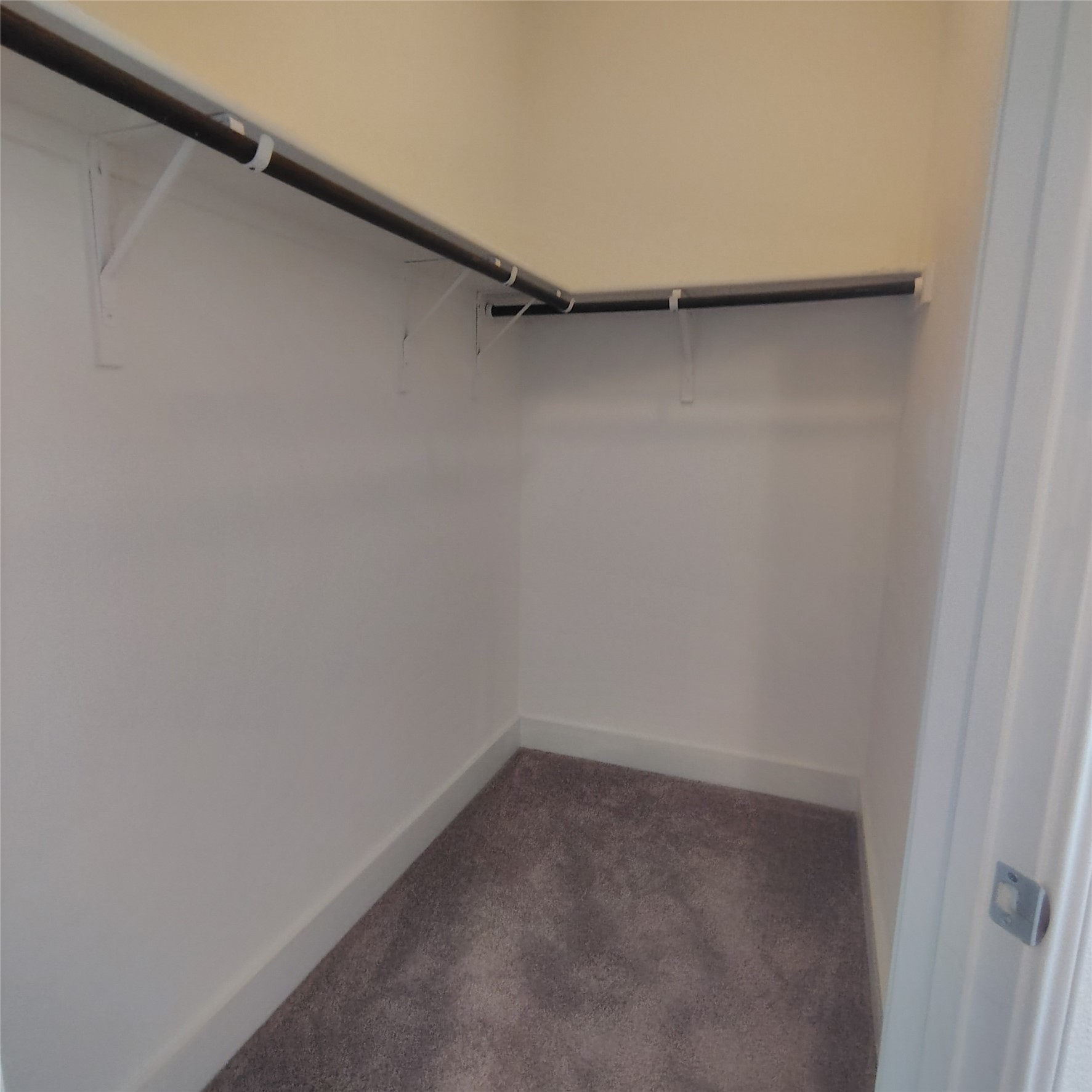 2214 Capulet Street Austin, TX 78741 - Photo 21 of 28 3rd Bedroom Walk in closet featuring carpet floors