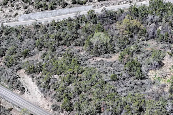 $90,000 | 58450 Buzzard Creek Road, Collbran, CO 81624