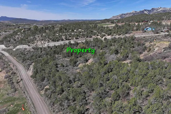 $90,000 | 58450 Buzzard Creek Road, Collbran, CO 81624