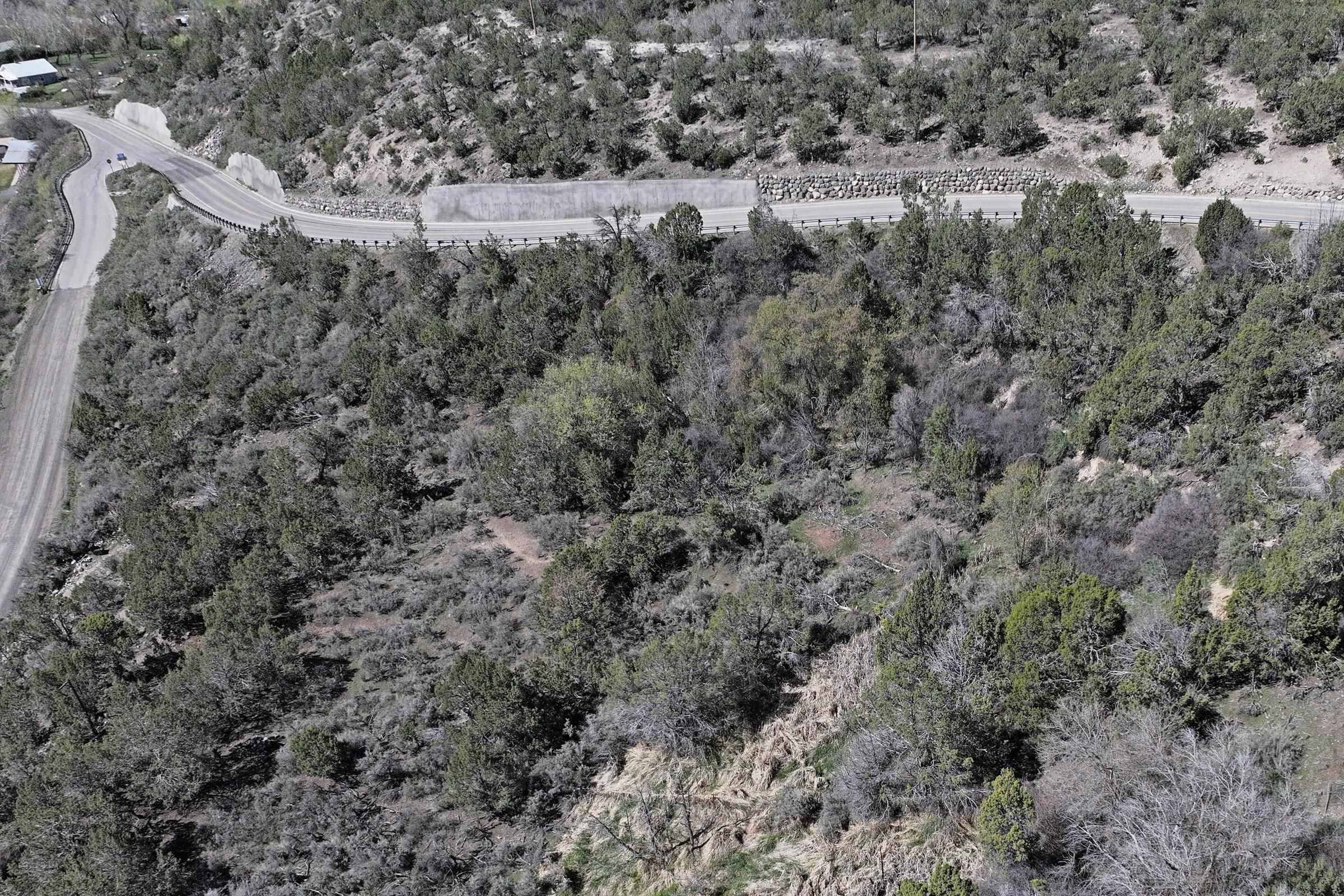 58450 Buzzard Creek Road Collbran, CO 81624 - Photo 6 of 6