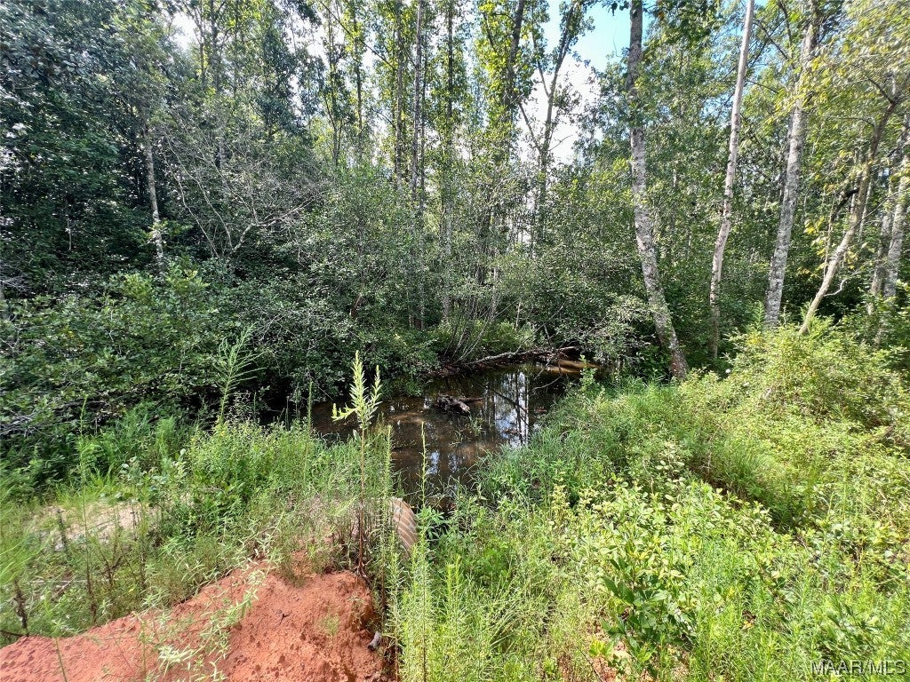 318.5-acre Goose Hollow Road Geneva, AL 36340 - Photo 10 of 50 Gallery Image 10