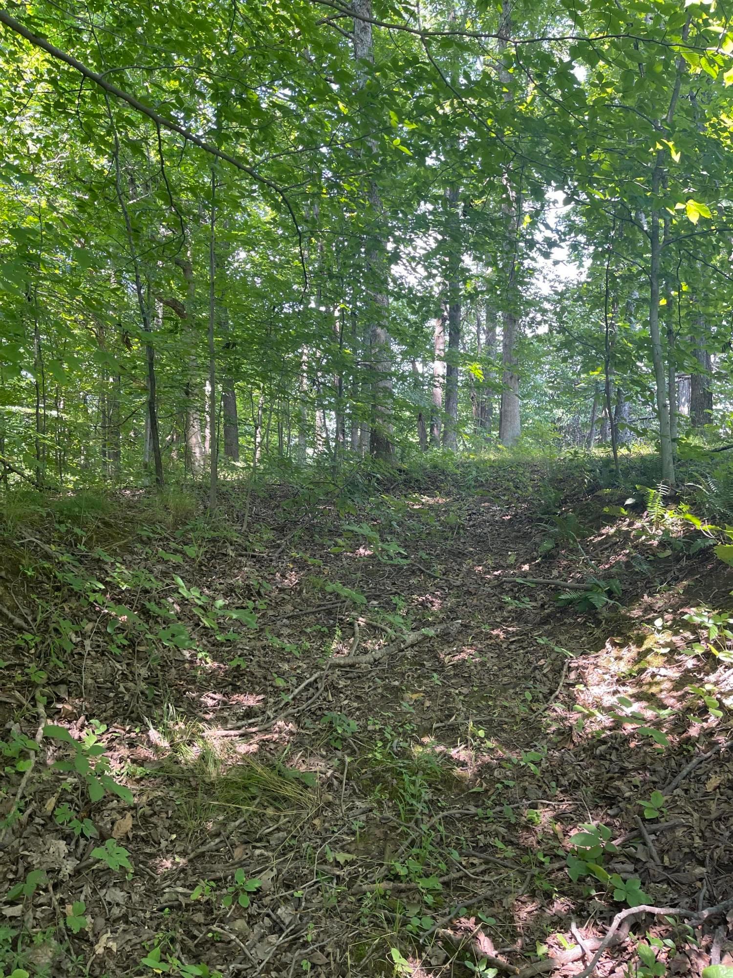 0 Wion Ridge Road Chandlersville, OH 43727 - Photo 20 of 20