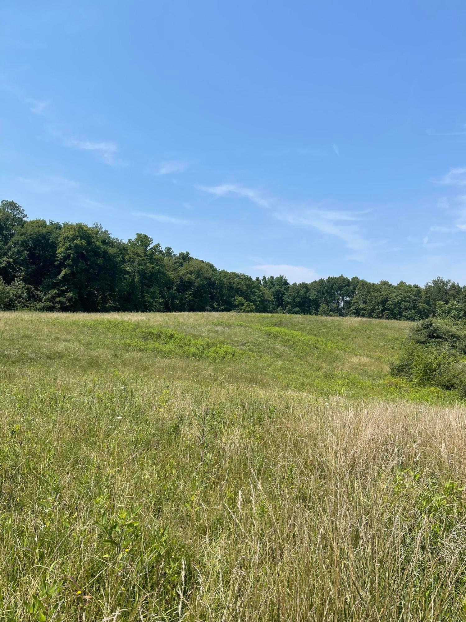 0 Wion Ridge Road Chandlersville, OH 43727 - Photo 5 of 20