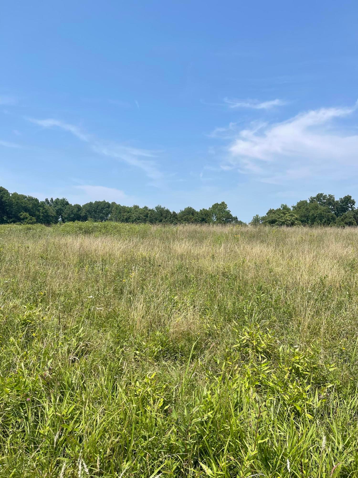 0 Wion Ridge Road Chandlersville, OH 43727 - Photo 6 of 20