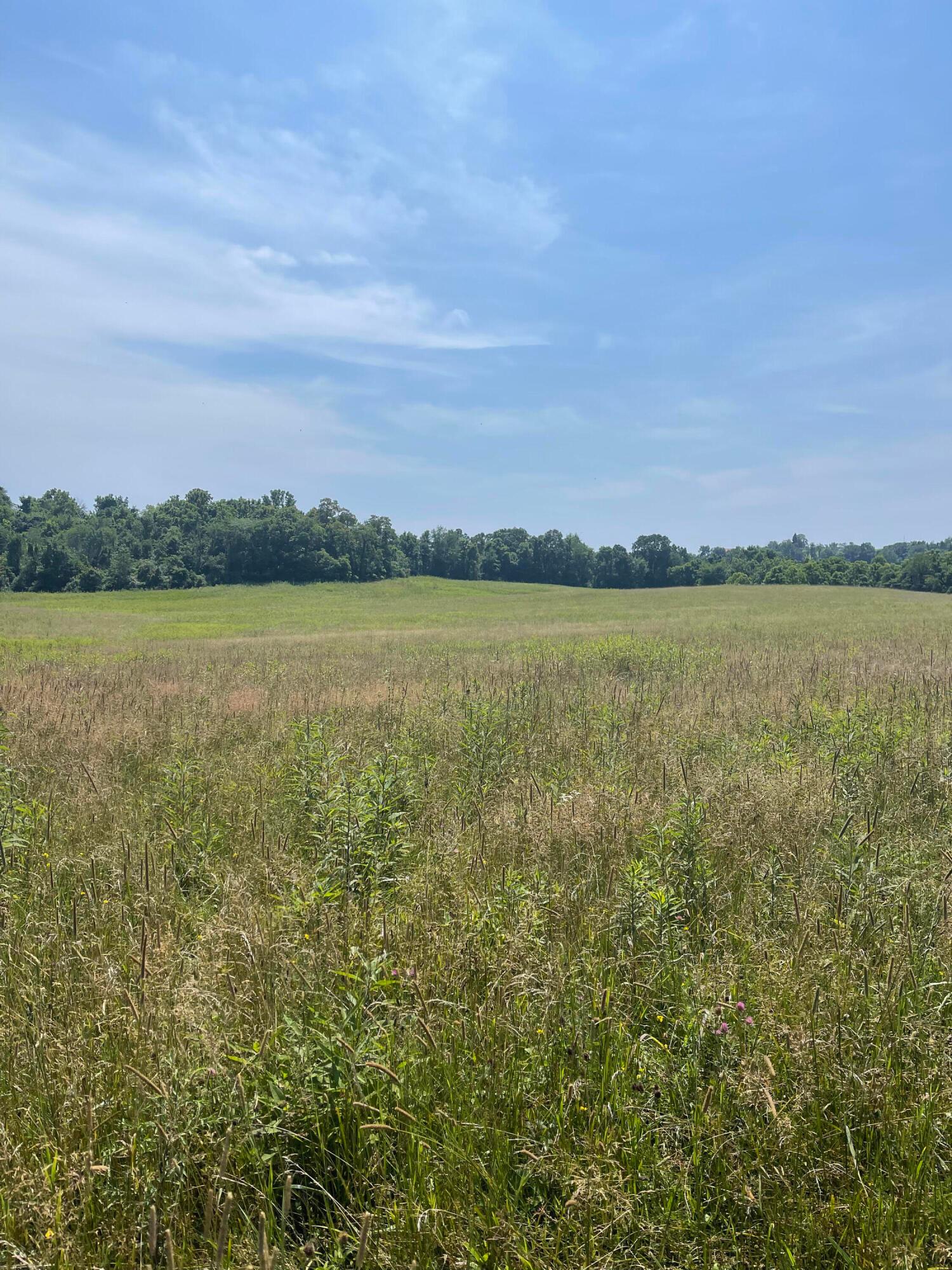 0 Wion Ridge Road Chandlersville, OH 43727 - Photo 9 of 20
