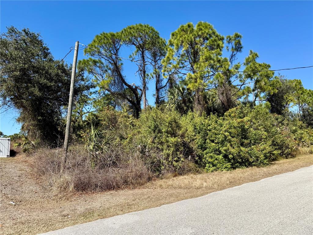 Baker Rd Port North Port, FL 34288 - Photo 3 of 3 Gallery Image 3